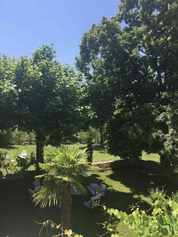 Property grounds