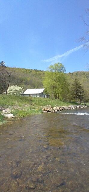 From the back of the house