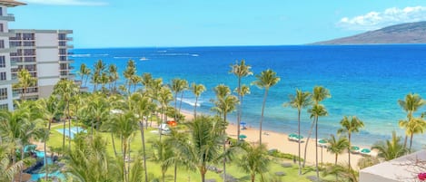 Vue sur la plage/l’océan