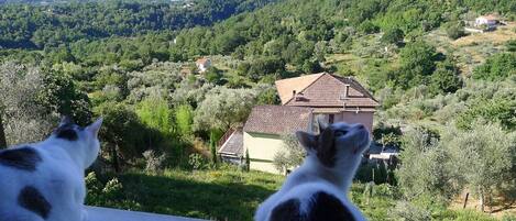 Vista dalla struttura