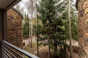 Private Patio offering courtyard and mature pine tree views.