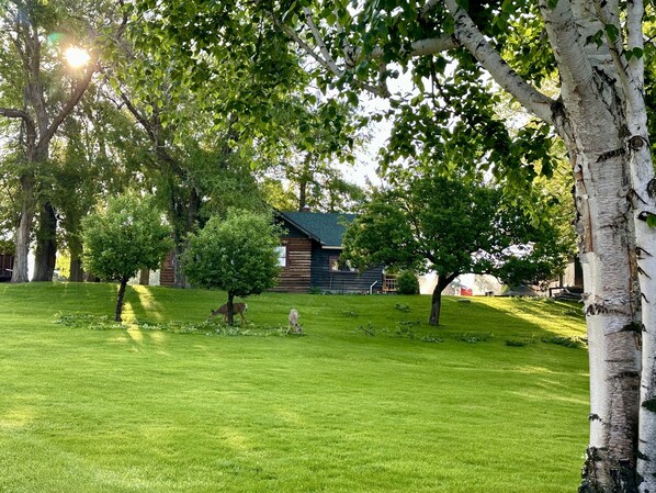 Boendeområde
