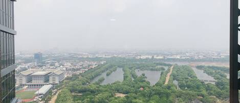 Vistas desde la habitación