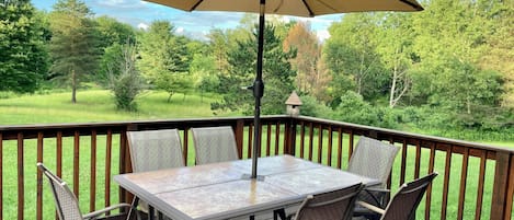 Back deck overlooking lawn and wildlife pond. 