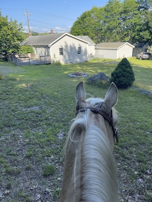 Back of house from horseback!