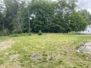 Back yard