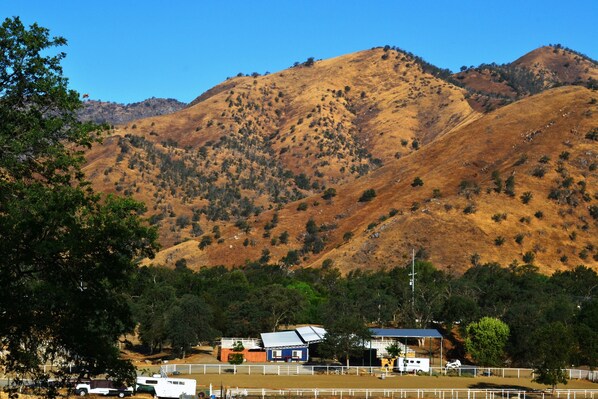 This is where Our Cowboys Hidout is located…the blue wall is your home! 