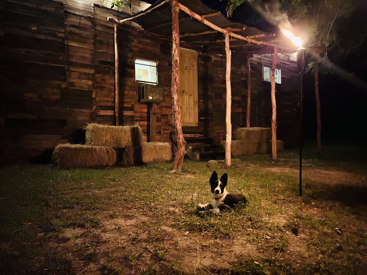 Cabin 2 near the river nestled next to Sam Houston Park with a fire pit