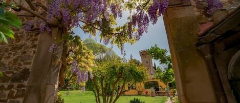 Jardines del alojamiento