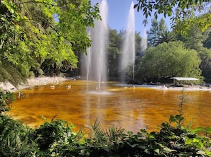 Parco della struttura