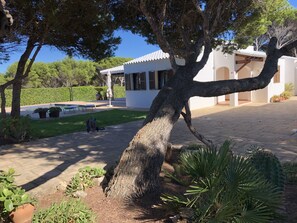 Property grounds