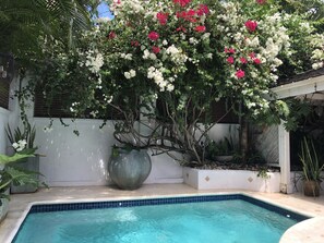 Plunge pool in courtyard 