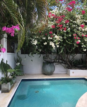 Plunge pool 