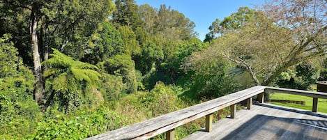 Terrain de l’hébergement 