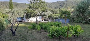 Parco della struttura