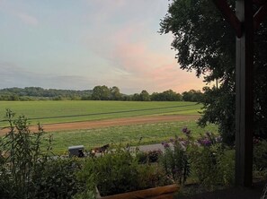 View from property