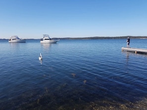 fishing off the jetty