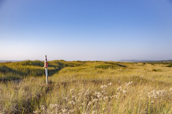 The trail through the dunes and grass to the beach!