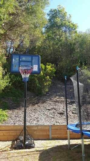 Basketball Hoop