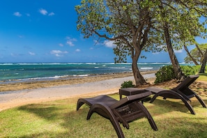 Lounge Oceanfront