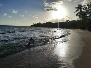 Strand