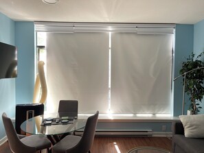 Black out curtain