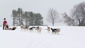 Skidåkning och snöaktiviteter