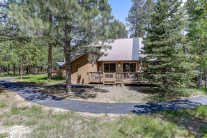 34 Cluster Cabin