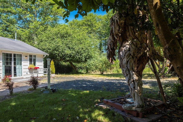 Jardines del alojamiento