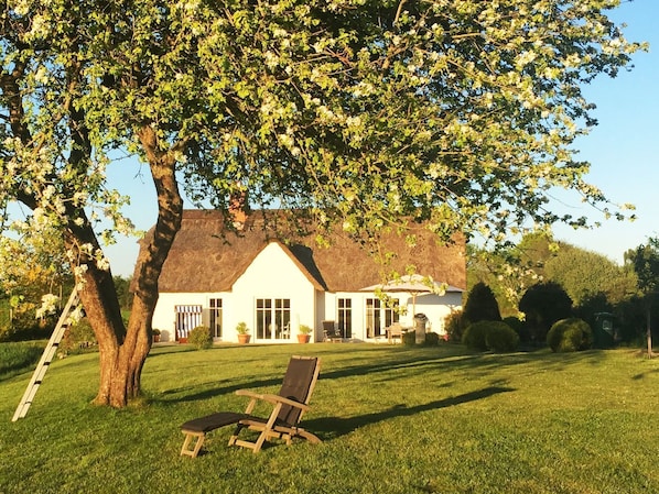 Boendeområde
