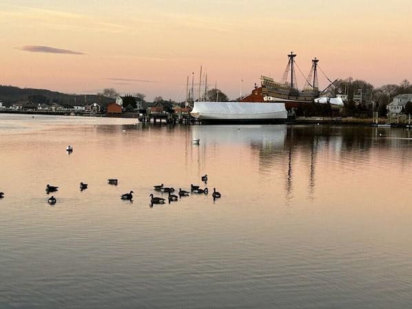 We are located directly on the idyllic Mystic River.