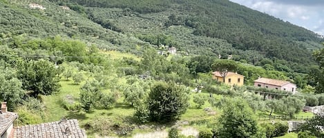 vista dal salotto
