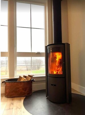 Modern Stuv 30 woodstove