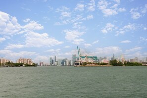 View from property