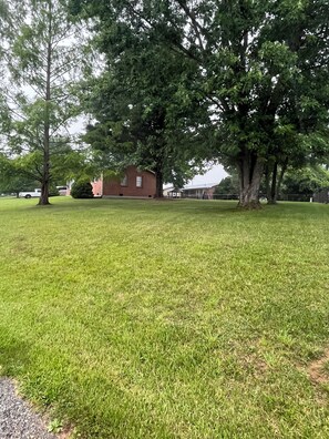 Side yard