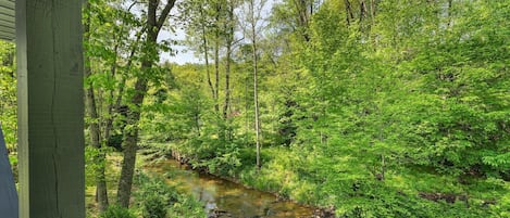 View down to creek