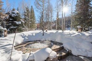 In-ground hot tub overlooking the grounds.