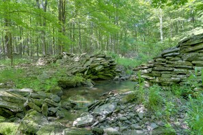 Cabin Exterior | Woodlands & Creek Access