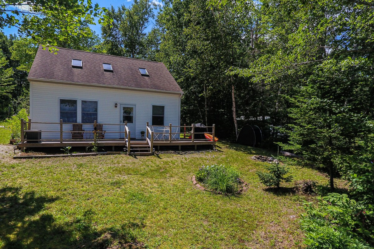 Main Image