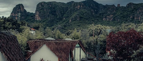 Jardín