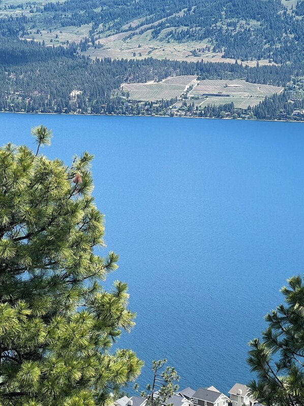 Breathtaking panoramic view of Lake Okanagan, mountains and more!
