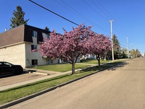 Front of Building