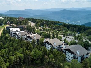 The Whistlepunk community, is reminiscent of a Swiss chalet, and offers a short walk to the Western Territory and the Village at Snowshoe.