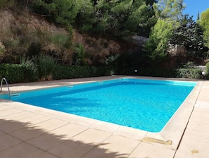 La piscine bordée de pins