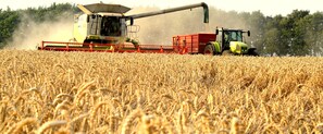 Harvest