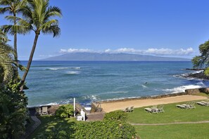 you cannot get much closer to the ocean than this