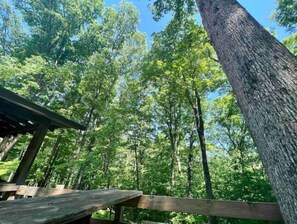 A view of the property from the deck. 