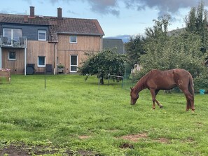 Oklassificerad bild, 2 av 19, knapp