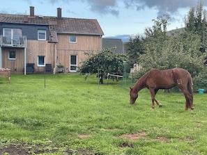 Oklassificerad bild, 2 av 19, knapp