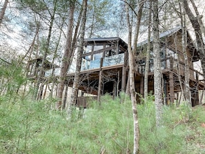 A whimsical view of the treehouse nestled amidst lush foliage.